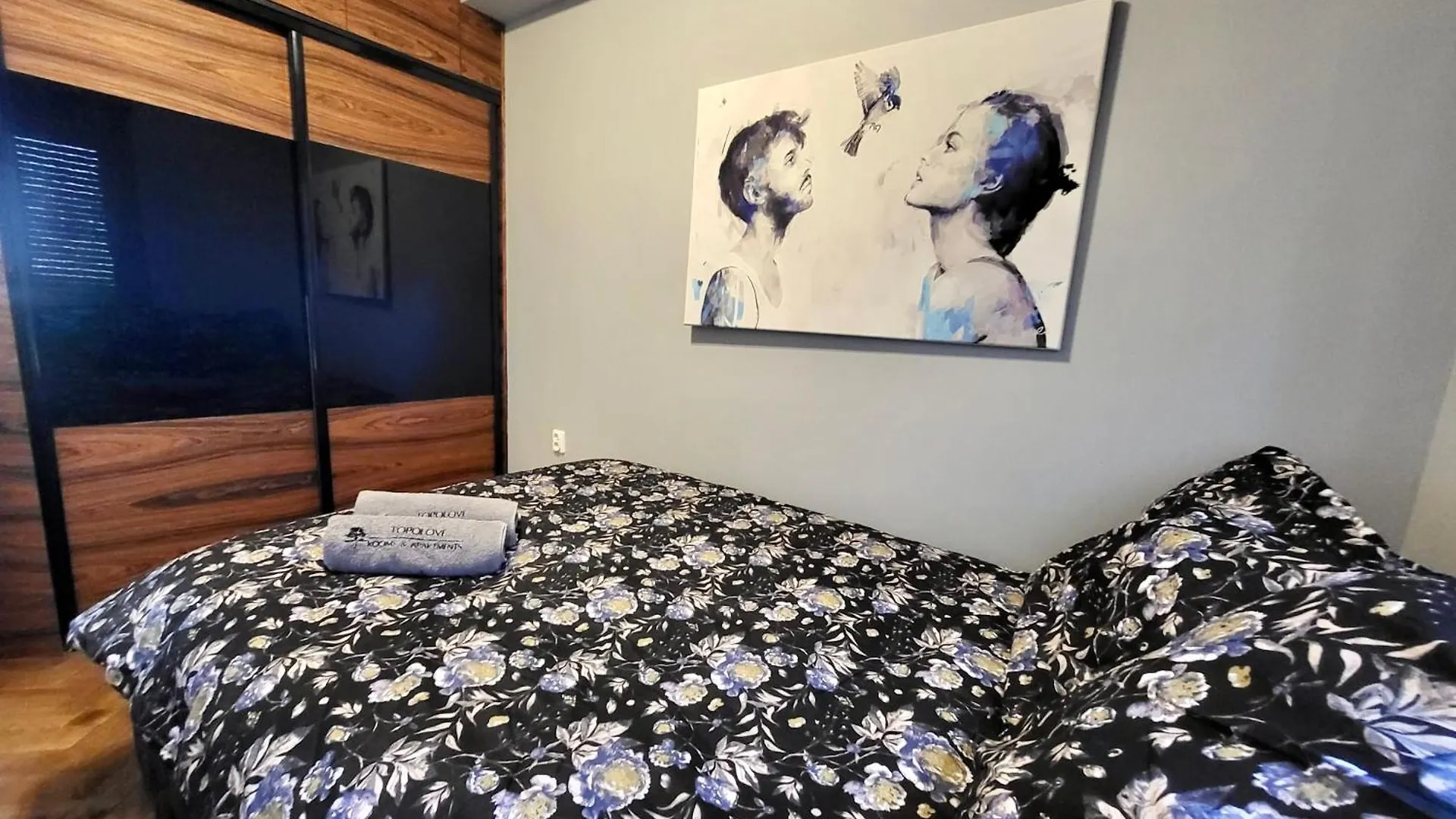Salwator Apartment - Topolove Rooms & Apartments Krakow Poland