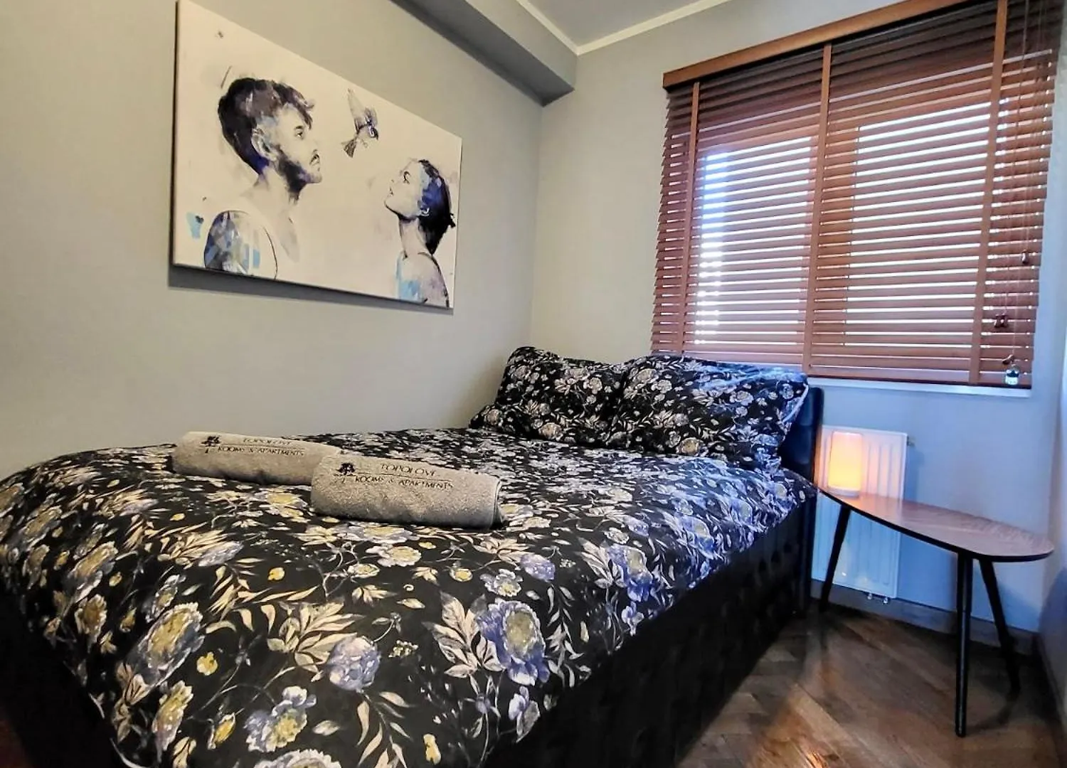 Salwator Apartment - Topolove Rooms & Apartments Krakow Poland